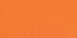 Papel Craft Bazill Orange Crush 8.5x11"