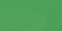 Papel Craft Bazill Green Apple 12 x 12"