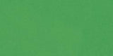 Papel Craft Bazzill Green Apple 8.5 x 11"