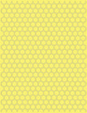 Folder Texturizador Honeycomb